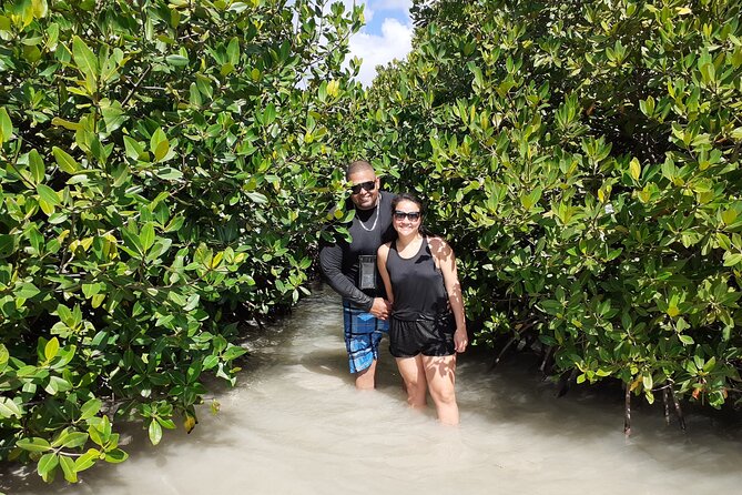 Mangrove Forest Tour - Glass Bottom Kayak - Tour Details and Highlights