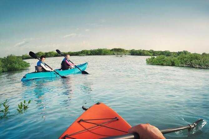 Mangrove Kayaking - Essential Tips for a Safe Kayaking Adventure