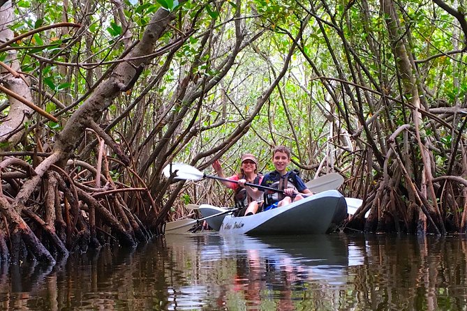 Mangrove Tunnels, Manatee, and Dolphin Sunset Kayak Tour With Fin Expeditions - Pricing and Booking Information