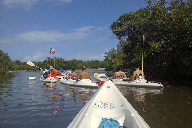 Mangroves Paddling Tour and Sunset - Inclusions