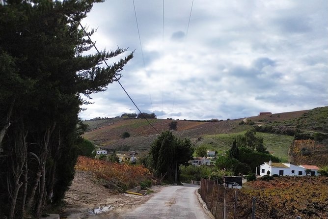 Manilva & Gaucin Wine Tour From the Costa Del Sol - Cancellation Policy