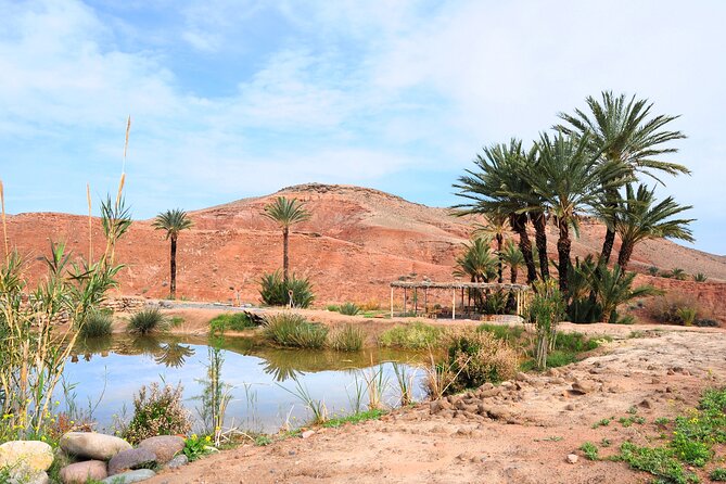 Marrakech Desert Buggy Tour Including Berber Tea Break and Transfer - Positive Experiences and Feedback