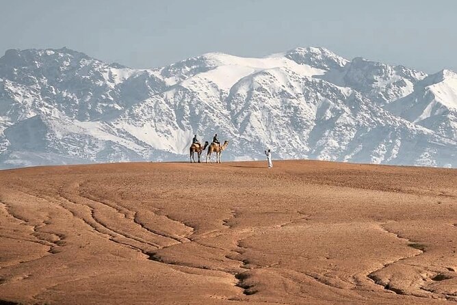 Marrakech Desert Tour & Sunset Camel Ride With Dinner Show - Positive Experiences