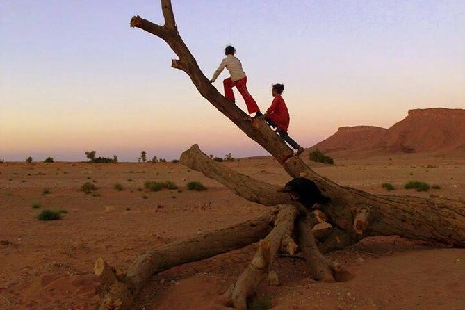 Marrakech to Merzouga 3 Day Desert Safari - Itinerary Highlights