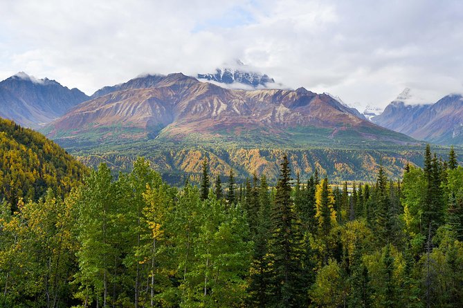 Matanuska Glacier Wildlife & Wilderness Photo Tour From Anchorage - Tour Details