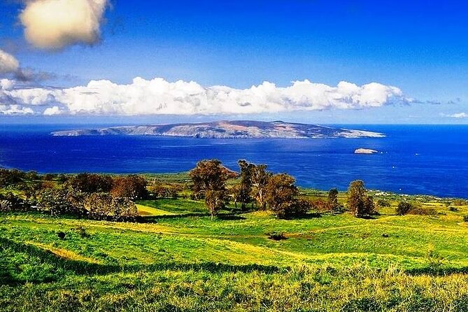 Maui Island Private Day Tour - Meeting Point and Transportation