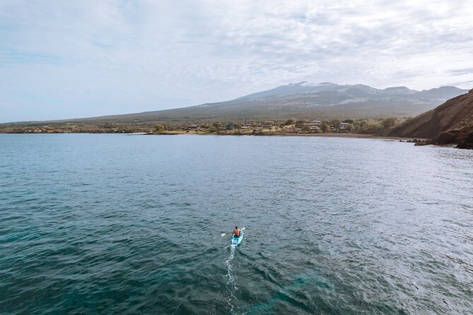 Maui'S ONLY Electric Powered Kayak & SUP Hybrid Rentals. - Overview and Booking Details