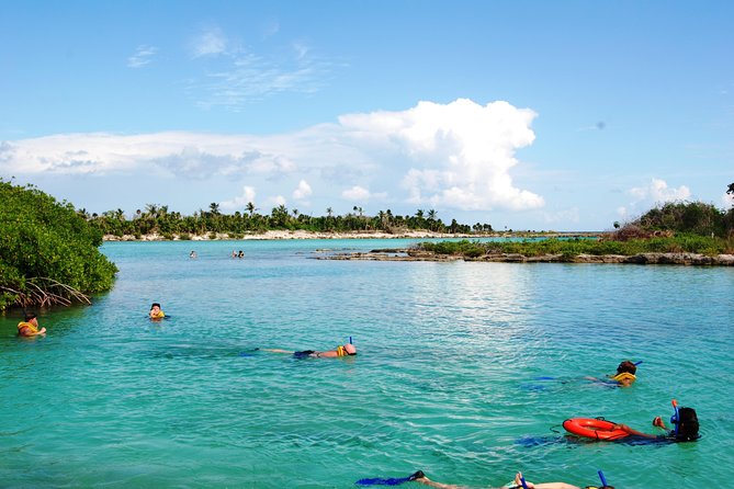 Mayan Adventure Snorkeling Tour From Playa Del Carmen or Riviera Maya - Tour Overview and Inclusions