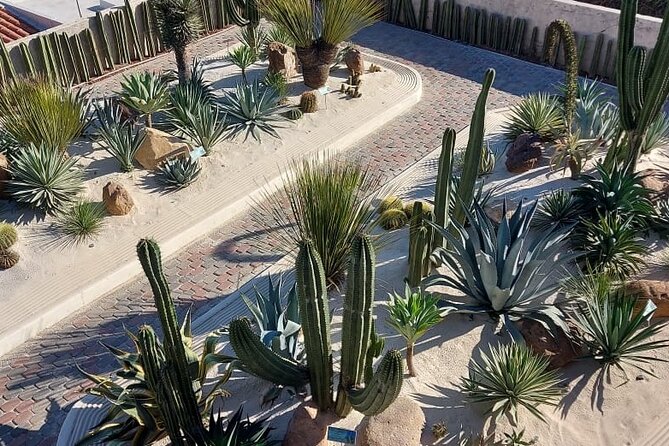 Mazatlan City Tour and Observatory - Cancellation Policy