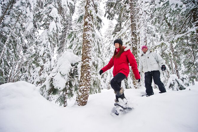 Medicine Trail Snowshoe Tour - Booking Details