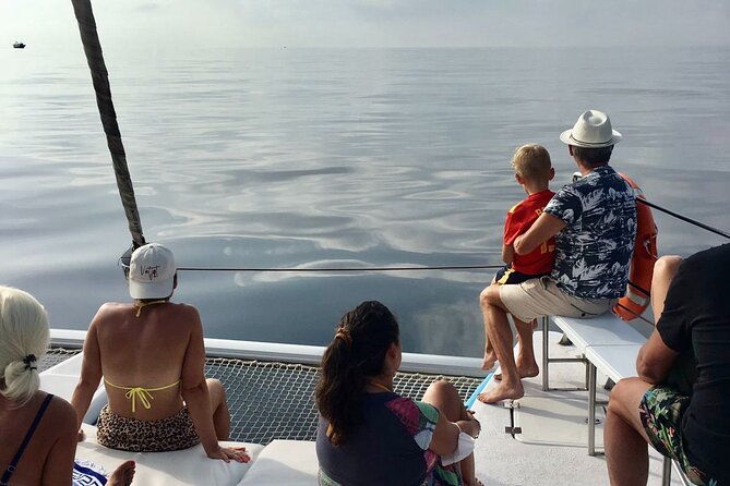 Mediterranean Route - 2 Hours Boat Trip and Local Fish for Lunch Included - Overview and Inclusions