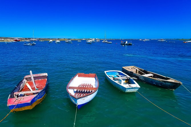 Meet Santa Luzia, the Octopus Capital, in a 100% Electric Tuk Tuk in Salinas - Santa Luzia: The Octopus Capital