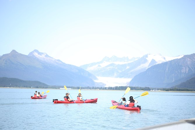 Mendenhall Glacier View Sea Kayaking - Obstructed View of the Glacier
