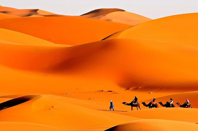 Merzouga Camel Trekking & Overnight Desert Camp - Pricing and Booking