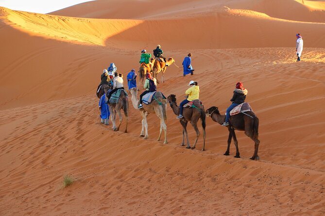 Merzouga Desert Campsite &Camel Excursions - Reserve Now & Pay Later