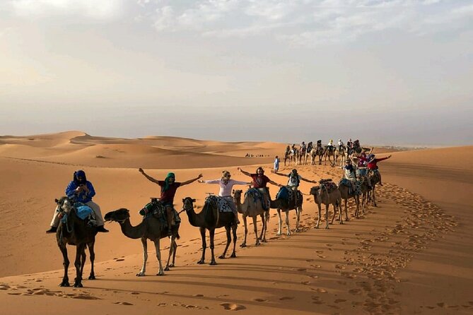 Merzouga: Overnight Camel-Trekking Tour  - Marrakech - Traveler Photos and Reviews