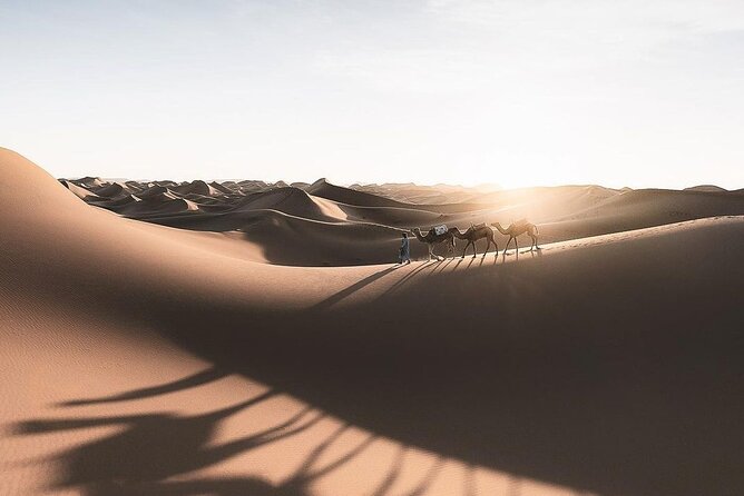 Merzougas Sahara: 2-Day Tour From Fes With Camel Trekking - Pricing and Guarantee