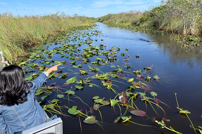 Miami Everglades Airboat Ride, Wildlife Show and Transfer - Pricing and Booking Information