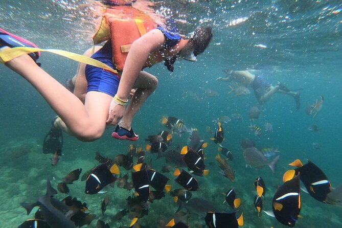 Mismaloya Snorkeling Tour 1Hr Private - Overview and Tour Details