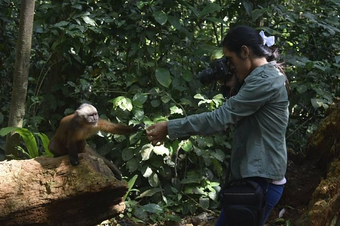 Monkey Island , Kayak , Canopy Bridge and Zipline - Cancellation Policy