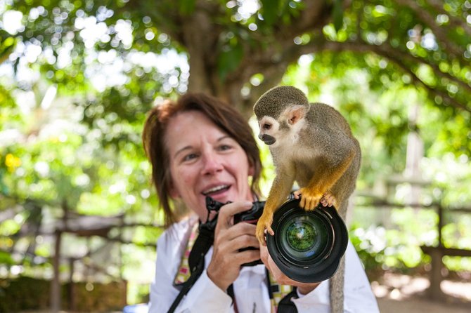 Monkeyland and Plantation Safari Tour From Punta Cana - Customer Reviews