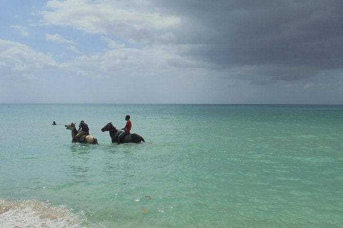 Montego Bay Airport Transfer to Negril - Expectations and Additional Information