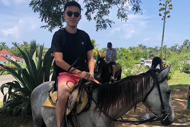 Montego Bay to Horse Back Riding, River Tubing, Blue Hole Falls - Activity Details