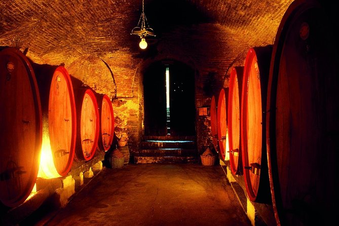 Montepulciano Walking Tour With Food and Wine Tastings - Overview of Montepulcianos Charm