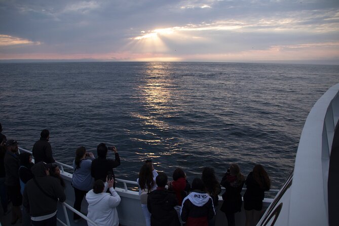 Monterey Whale Watching Tour - Tour Overview