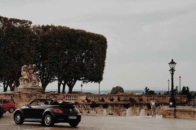 Montpellier 1.5-Hour Small-Group Local Guide Walking Tour - Pricing and Booking Details
