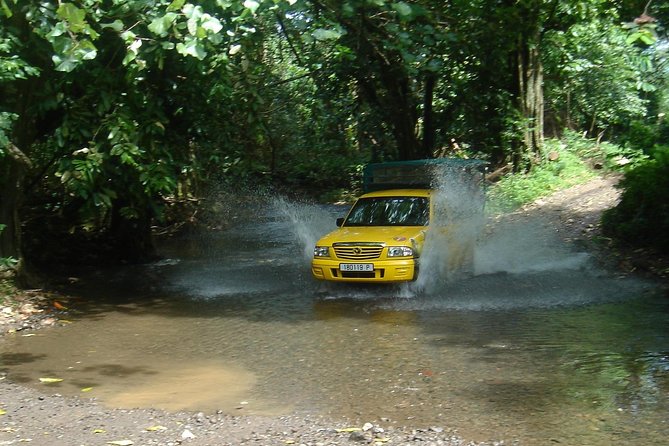 Moorea Aito 4WD Safari Tour - Highlights and Activities on the Tour