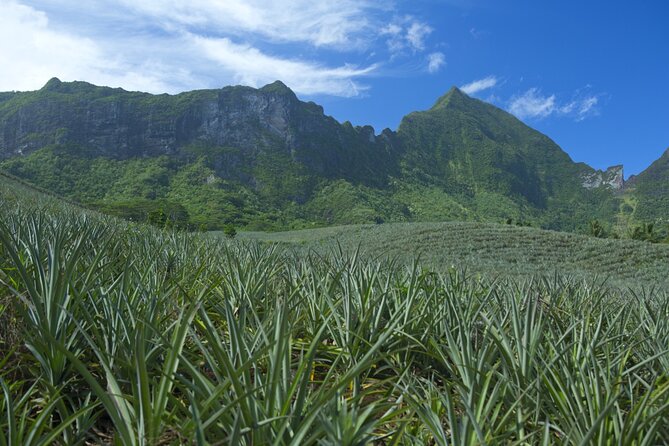 Moorea Highlights Private Tour: Natural and Cultural Attraction - Natural Wonders