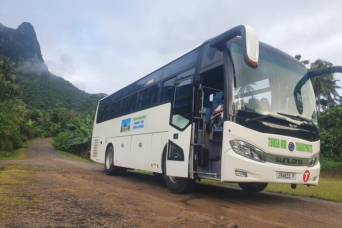 Moorea Island Tour - Options for Interests and Departures