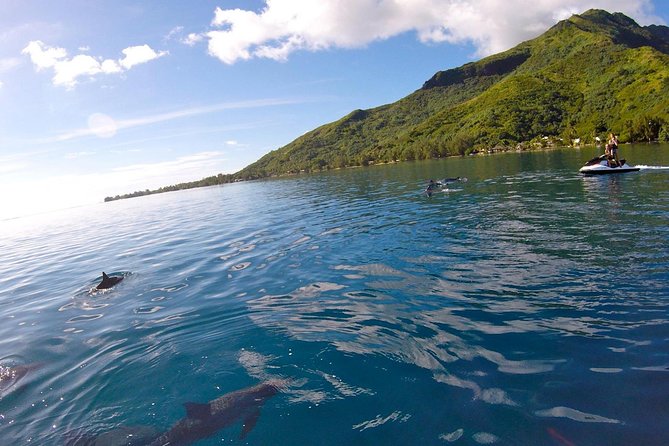 Moorea Solo or Twin 3 Hours Jet Ski Tour - Pricing and Booking Details