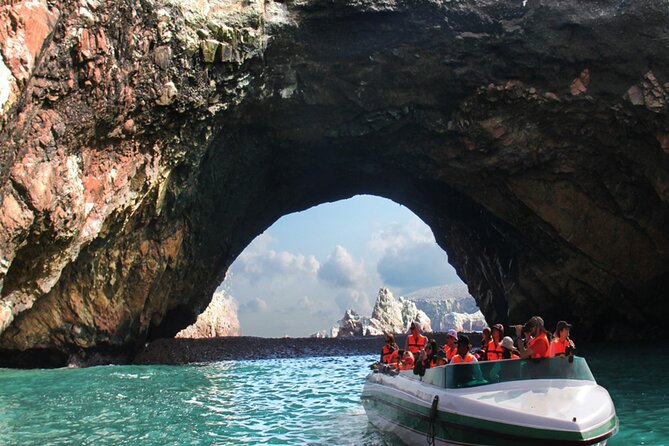 Morning: Ballestas Island Tour From Paracas With Entrances - Tour Highlights
