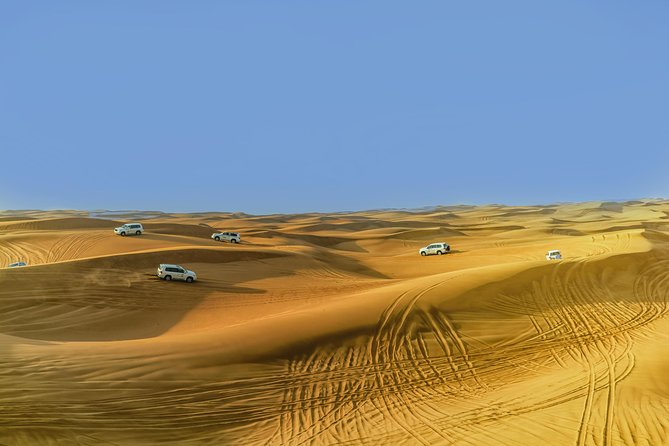 Morning Safari in Abu Dhabi - Morning Safari Tour Highlights
