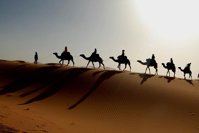 Morocco 3-Day Tour From Fez to Marrakech With Sahara Camp - Tour Pricing and Booking Details