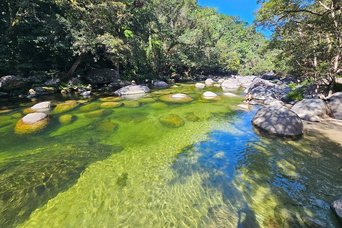 Mossman Gorge Daintree Rainforest Daintree River Crocodile Cruise - Overall Ratings and Reviews