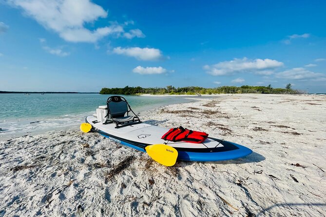 Motorized Hybrid Kayak Tour at Shell Key Preserve - Meeting and Pickup