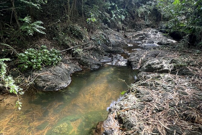 Mount Healthy National Park Private Hike Tour in Tortola - Common Questions