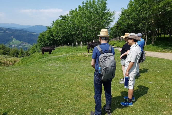 Mount Hernio Hiking Tour From San Sebastian - Tour Overview and Highlights