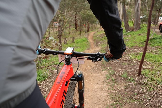 Mountain Bike Day Tour, 2 Locations, 4 Hrs Riding, Holgates Brewery Lunch - What to Expect