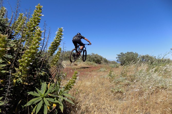 Mountain Bike Excursions - Meeting and Pickup