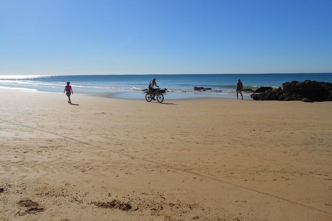 Mountain Bike Tour Conil De La Frontera Wine Bike Tour - Tour Highlights