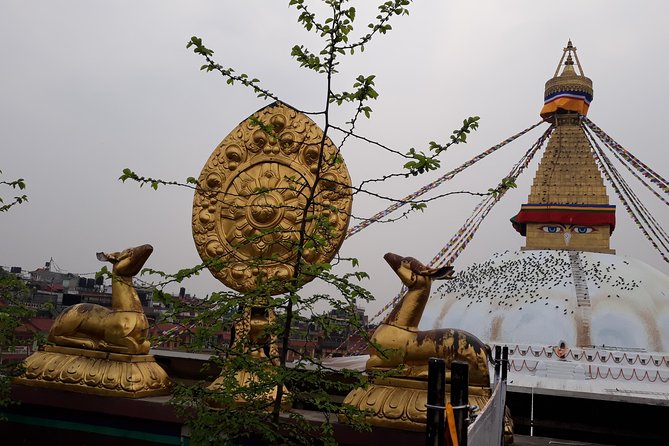 Mountains, Wildlife and Culture Tour - Tour Highlights