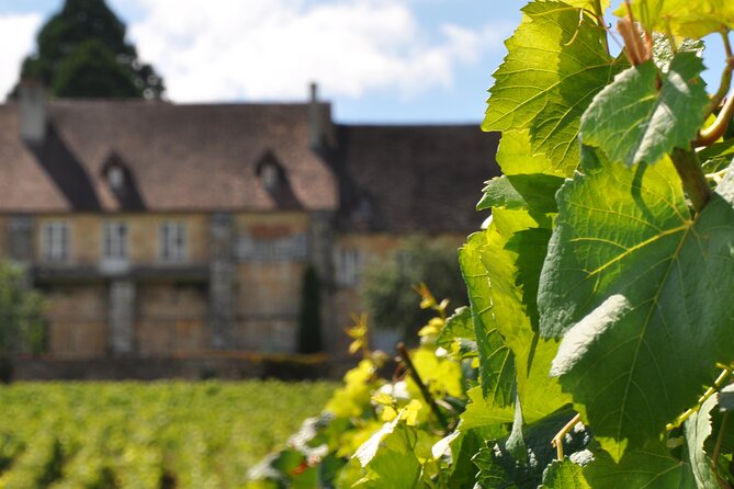 Multi Day Private Tour Prestige Burgundy With 12 Premiers & Grands Crus - Tour Highlights