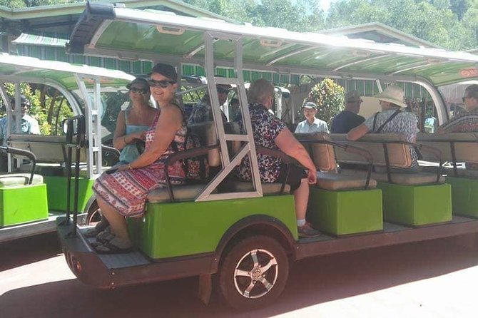 My Son Holyland-Authentic Lunch-Hoi an City With Riverboat Ride - Authentic Vietnamese Lunch Experience