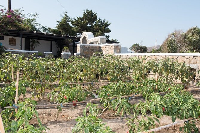 Mykonian Farm Entrance Ticket - Overview