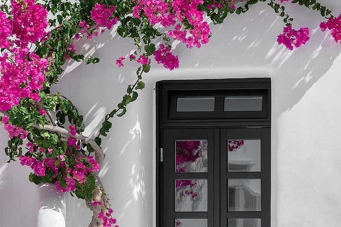 Mykonos Shore Excursion: Private Old Town Walking Tour - Tour Overview and Highlights
