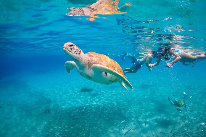 Nassau, Bahamas Private Boat Charter  - New Providence Island - Pricing and Booking